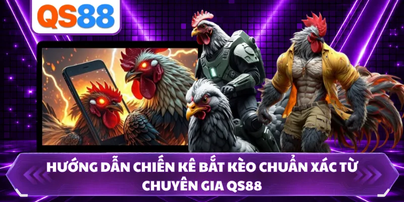 Hướng Dẫn Chiến Kê Bắt Kèo Chuẩn Xác Từ Chuyên Gia QS88