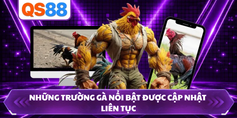 Những trường gà nổi bật được cập nhật liên tục